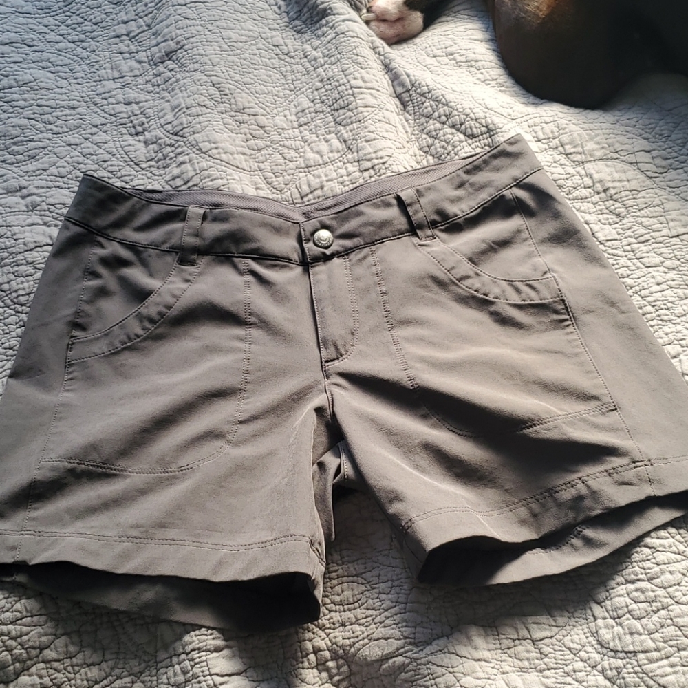 Gray Patagonia Hiking Shorts